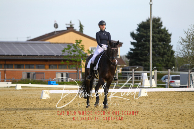 DKP43398 | Turniersportfotografie; Pferdefotografie; Dressurfotografie