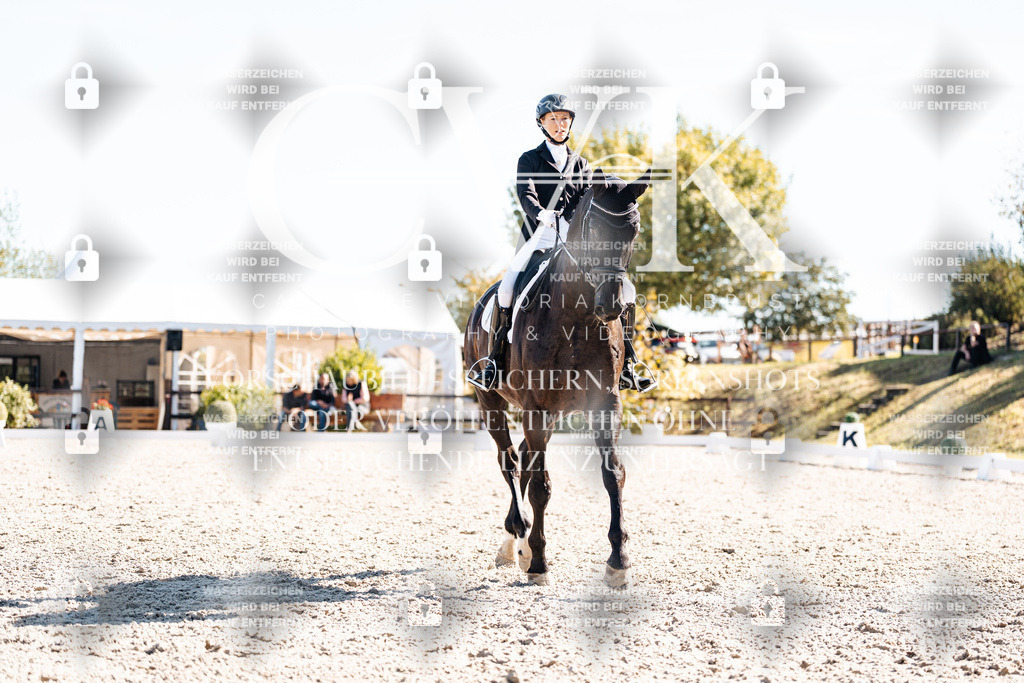 CK908856 | Turnierfotografie Pferdefotografie Trier Rheinland-Pfalz Pferdesport Reitsport Tierfotografie Sportfotografie Pferdevideo Pferdevideografie Equestrianvideography equestrianphotography  - Realisiert mit Pictrs.com