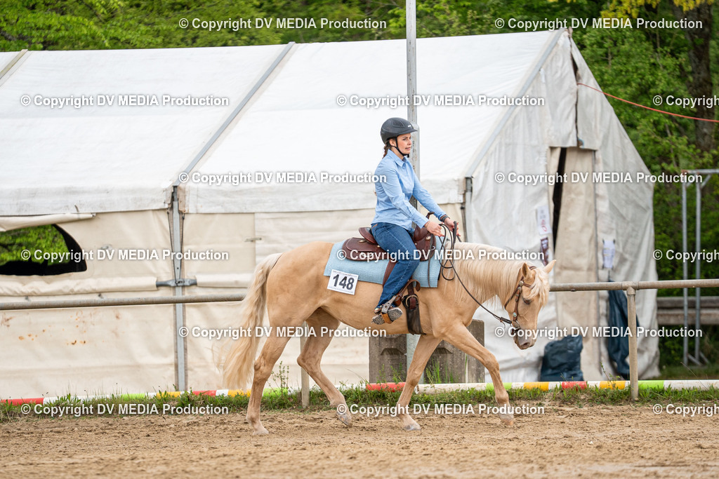 Heiligenwald Tag 1-1000 | dv-media-shop - Realisiert mit Pictrs.com