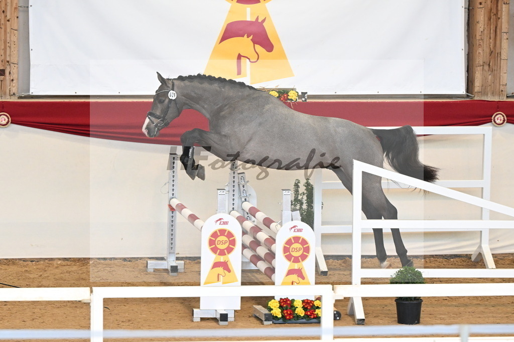 Kat.-Nr. 8 v. Clarimo_Schönweiler_3261482 | hf-fotografie - Realisiert mit Pictrs.com