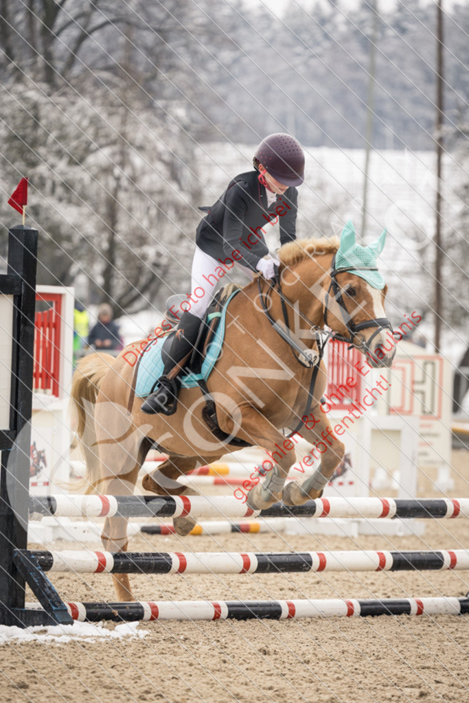 CON_8387 | Sport-, Event- und Tierfotos in Profiqualität. Einfach auswählen, bestellen und herunterladen. Dein Moment – perfekt festgehalten.