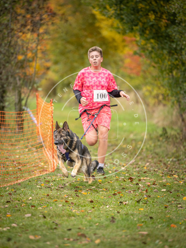 Pfotenfotografie_DV3A3454 | Hundefotografie, Tierfotograf, Pfotenfotografie, Fotoshooting Hund, Hunde Portrait, Hundesport, Hundeportraits, Heideshooting, Hunde, Sportfotograf, Hundefotograf, Turnierhundsport, THS,  - Realisiert mit Pictrs.com