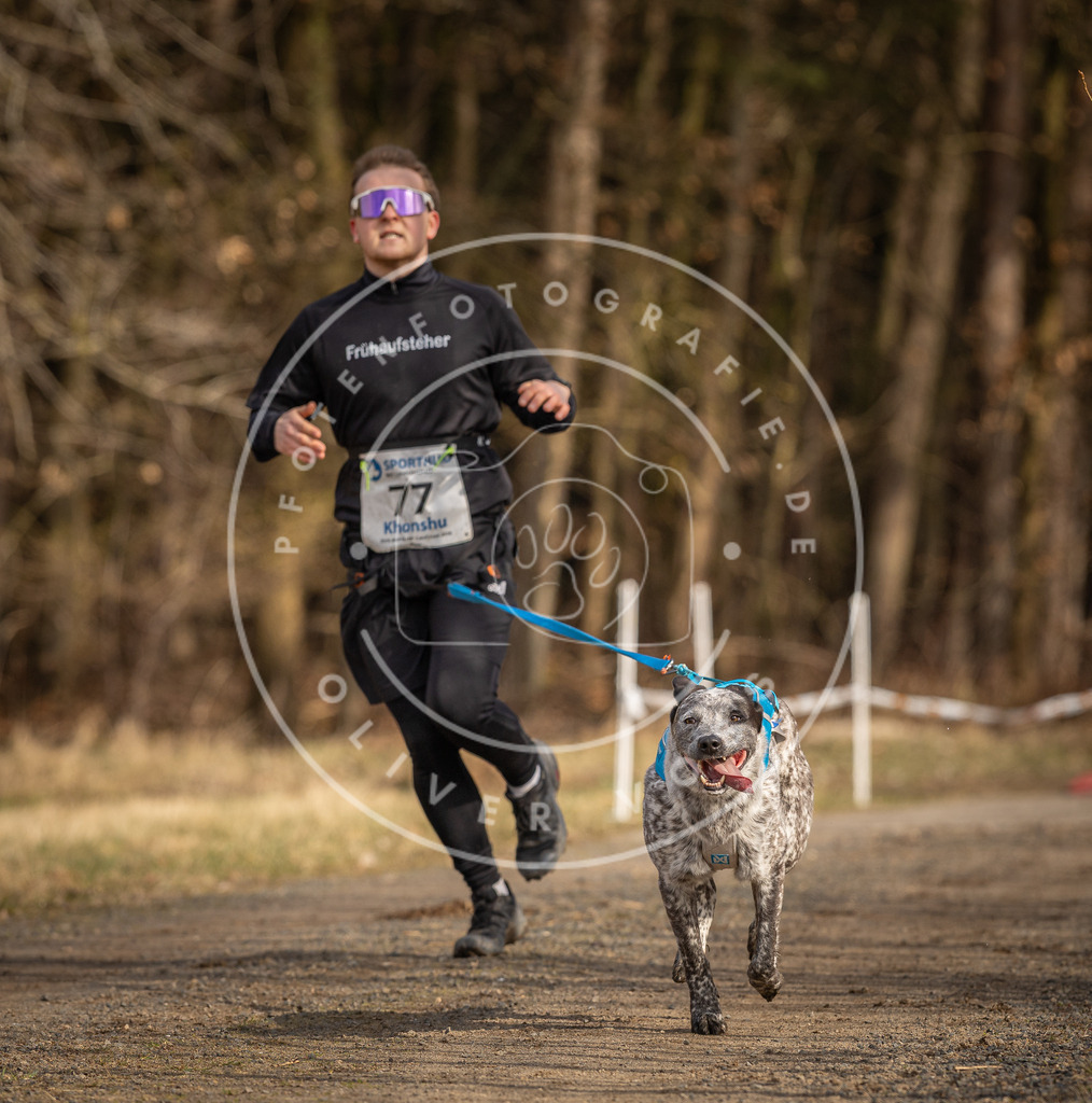 DV3A3673 | Hundefotografie, Tierfotograf, Pfotenfotografie, Fotoshooting Hund, Hunde Portrait, Hundesport, Hundeportraits, Heideshooting, Hunde, Sportfotograf, Hundefotograf, Turnierhundsport, THS,  - Realisiert mit Pictrs.com