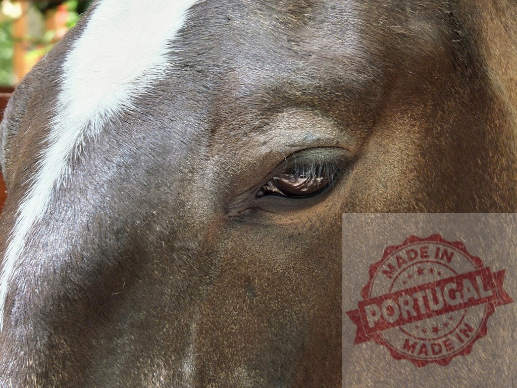 Horse close-up showing brown eye and white blaze | Horse eye detail with brown fur and white blaze expressing animal beauty - Realisiert mit Pictrs.com