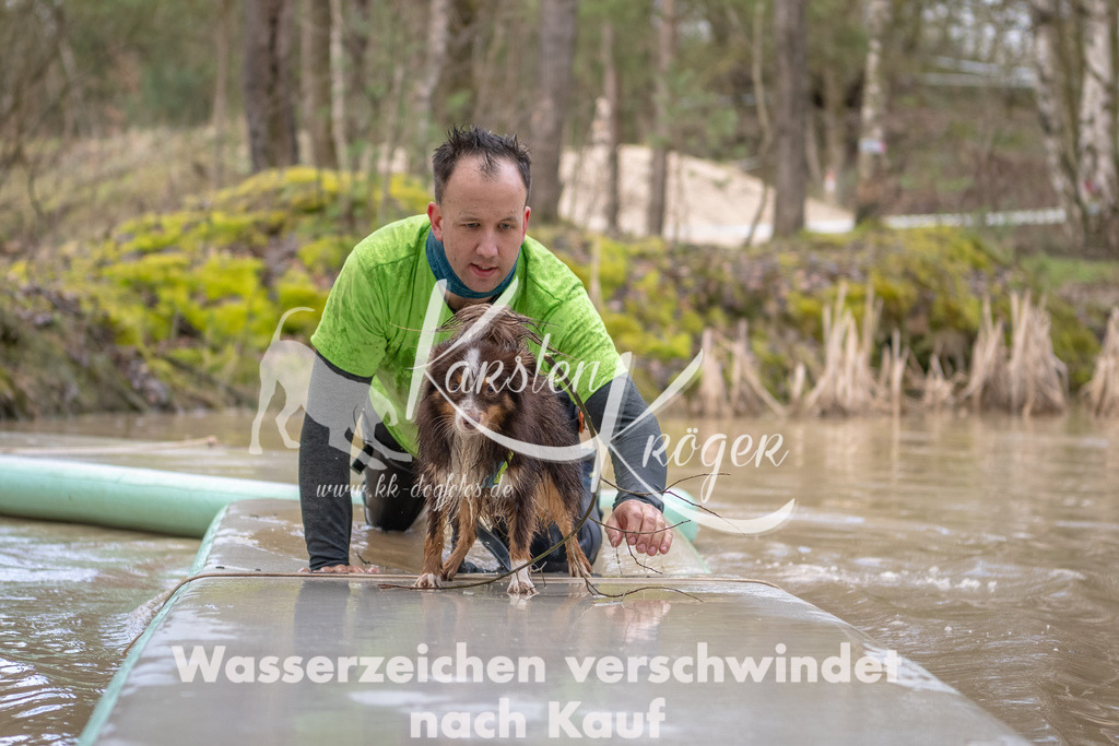 0955_ZZ91753-Bearbeitet | kk-dogfotos
