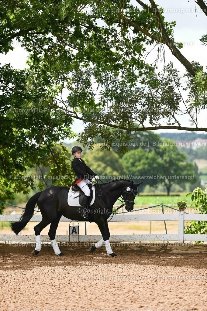 20230716_10-1_Reiter-WB Schritt - Trab - Galopp_0151 | equistock