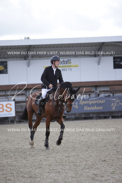 1J2A9752Klas-Kristoff Kudlinski_ Steendieks Catching Fire BE_ Kn914_ Havekost | Foto- und Videografie für alles rund ums Pferd. Hochwertige Bilder und Videos vom Spring- und Dressurreiten, Voltigieren & mehr. Jetzt aktuelle Veranstaltungen und Preise im Shop ansehen. - Realisiert mit Pictrs.com