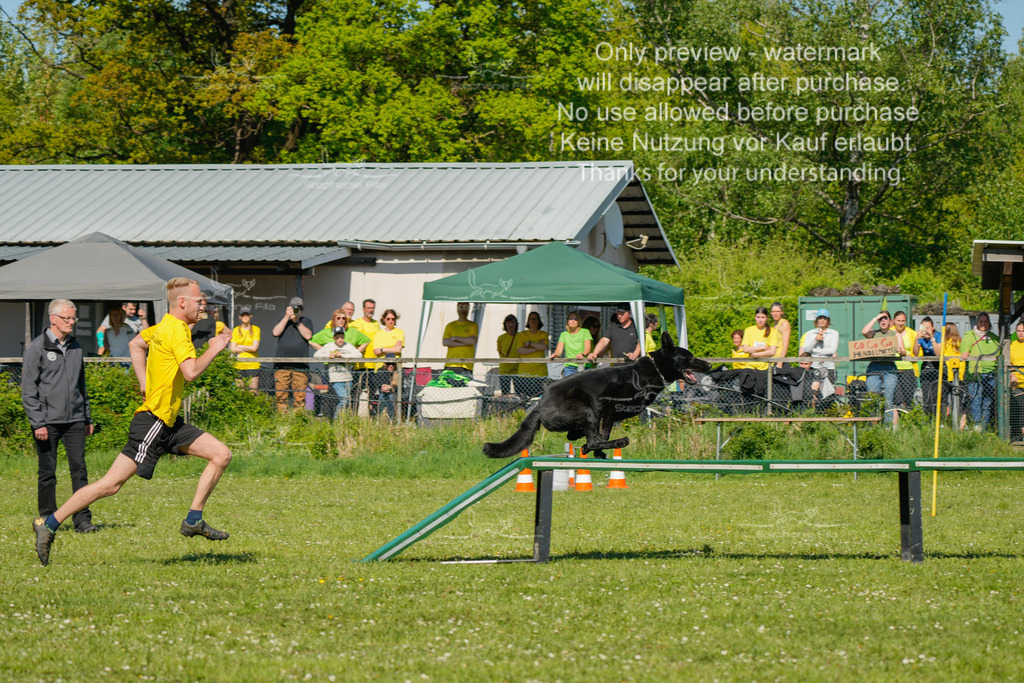 Sa_CSC-16 | stephaniefillaphotographie - Realisiert mit Pictrs.com