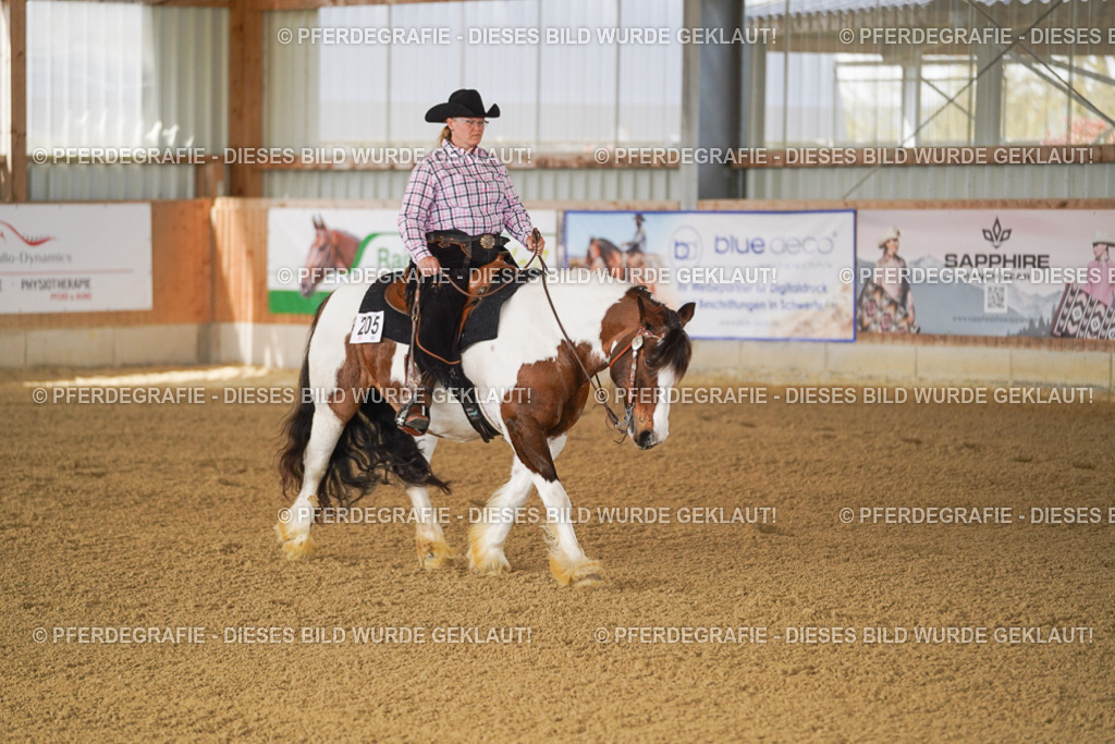 DSC02437 | Pferdegrafie