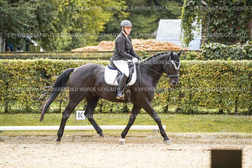 DSC01196 | Pferdegrafie