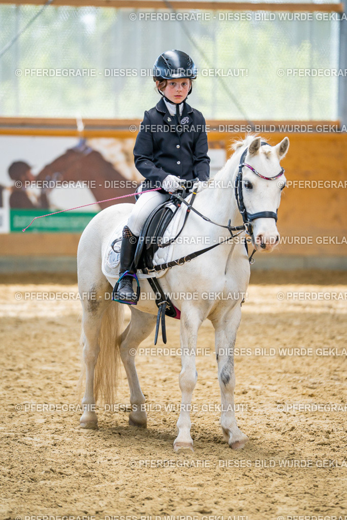 DSC01128 | Pferdegrafie