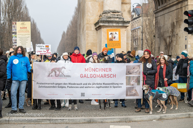 Galgomarsch2026-44 | Augenblicke kommen und gehen, Erinnerungen bleiben. Als Tierfotografin schaffe ich liebevolle Erinnerungen an unsere tierischen Familienmitglieder, ohne Stress und Druck.
Buchbar für den Raum München und Landkreis Dachau  - Realisiert mit Pictrs.com