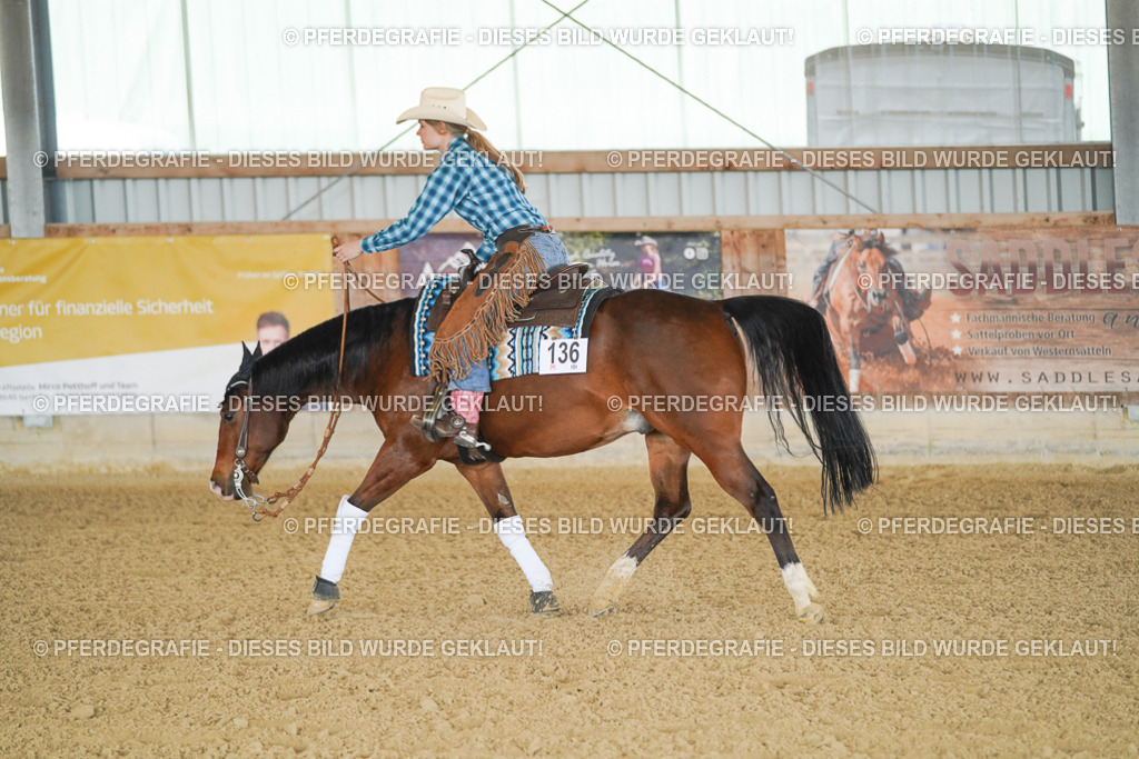 DSC02781 | Pferdegrafie