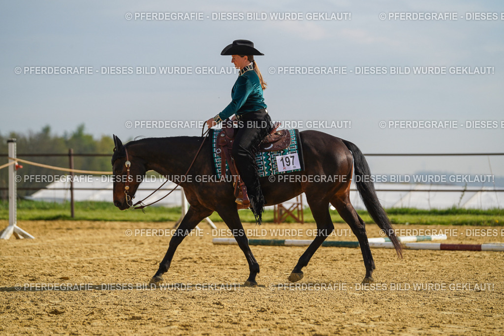 DSC01037 | Pferdegrafie