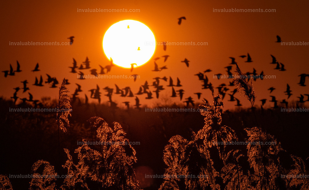 DSCF2736 | invaluablemoments.com - Realisiert mit Pictrs.com