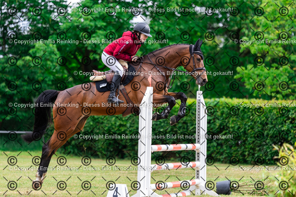 CL5A5560 | Emilia Reinking Fotografie - Realisiert mit Pictrs.com