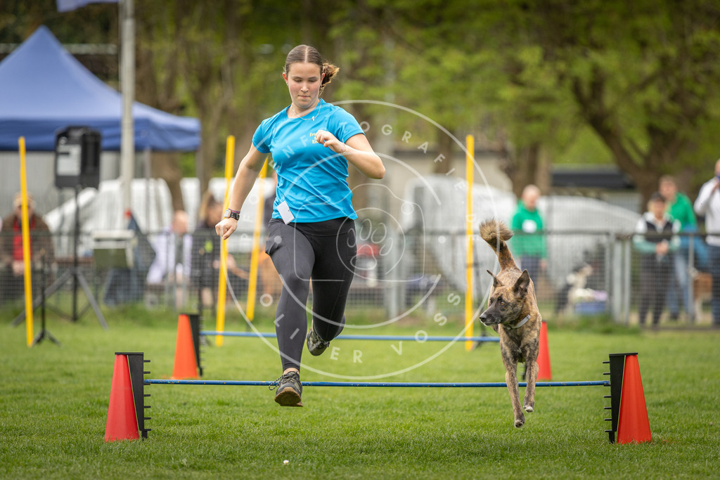 Pfotenfotografie_DV3A2521 | Hundefotografie, Tierfotograf, Pfotenfotografie, Fotoshooting Hund, Hunde Portrait, Hundesport, Hundeportraits, Heideshooting, Hunde, Sportfotograf, Hundefotograf, Turnierhundsport, THS,  - Realisiert mit Pictrs.com