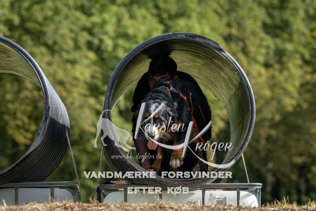 1039_ZZ92692 | kk-dogfotos