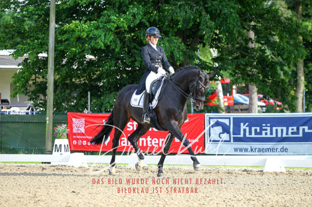 DKP41724 | Deine Turnierfotos vom Reitturnier online kaufen: Dressur, Springen & Siegerehrung. Professionelle Pferdefotografie aus dem Rheinland – als Download & Print.Alternative: Turnierfotograf für den Pferdesport: Finde deine Fotos von Dressur- und Springturnier