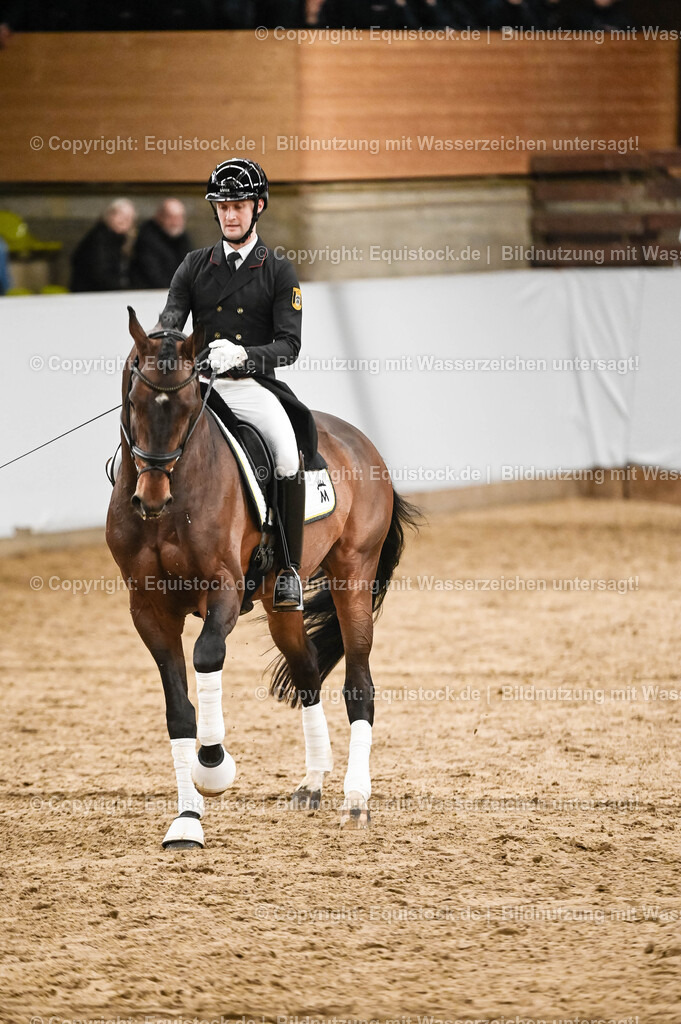 20260307_Hengstvorstellung-Marbach_0356 | equistock