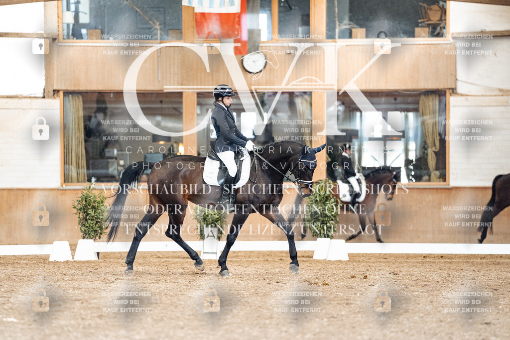CK901415 | Turnierfotografie Pferdefotografie Trier Rheinland-Pfalz Pferdesport Reitsport Tierfotografie Sportfotografie Pferdevideo Pferdevideografie Equestrianvideography equestrianphotography  - Realisiert mit Pictrs.com