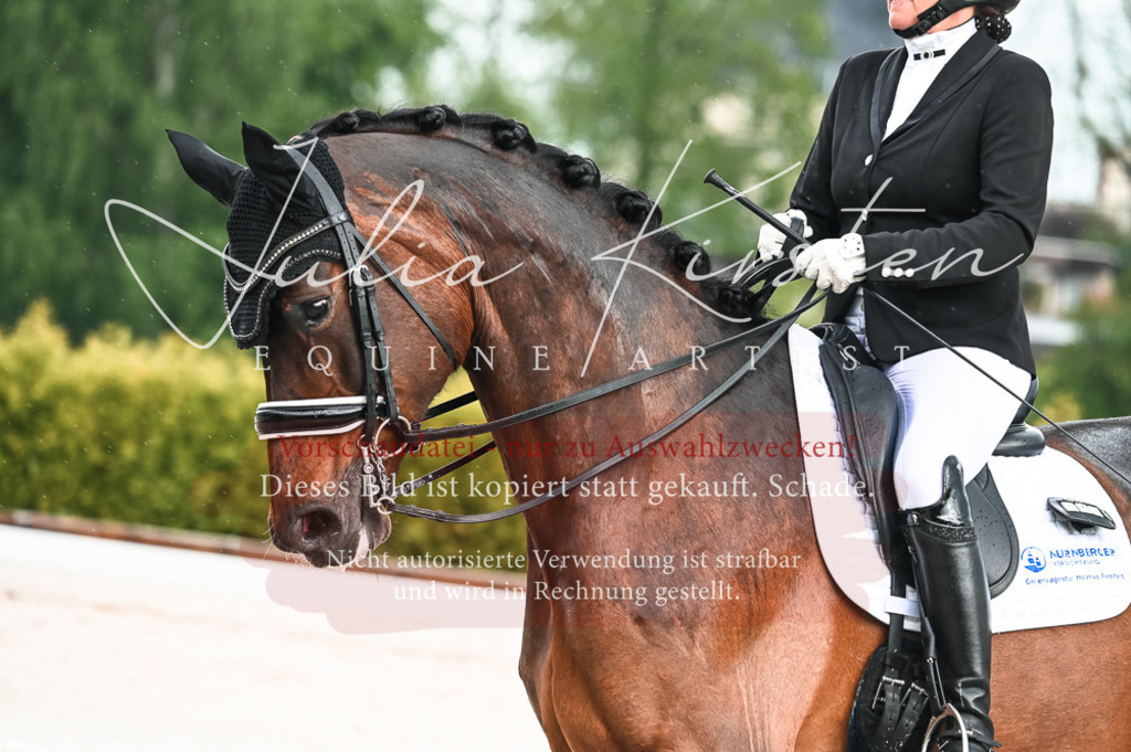 DSC_4205 | Pferde- und Turnierfotografie in Westsachsen. Pferdeportraits, Auftragszeichnungen und intuitive Kunst.