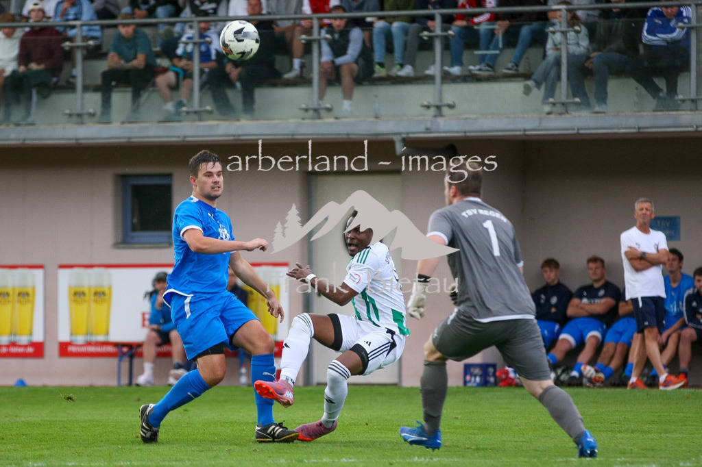 993T2932 | Medien- Sport- Entertainmentfotos