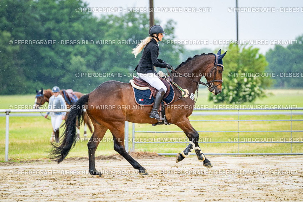 DSC02537 | Pferdegrafie