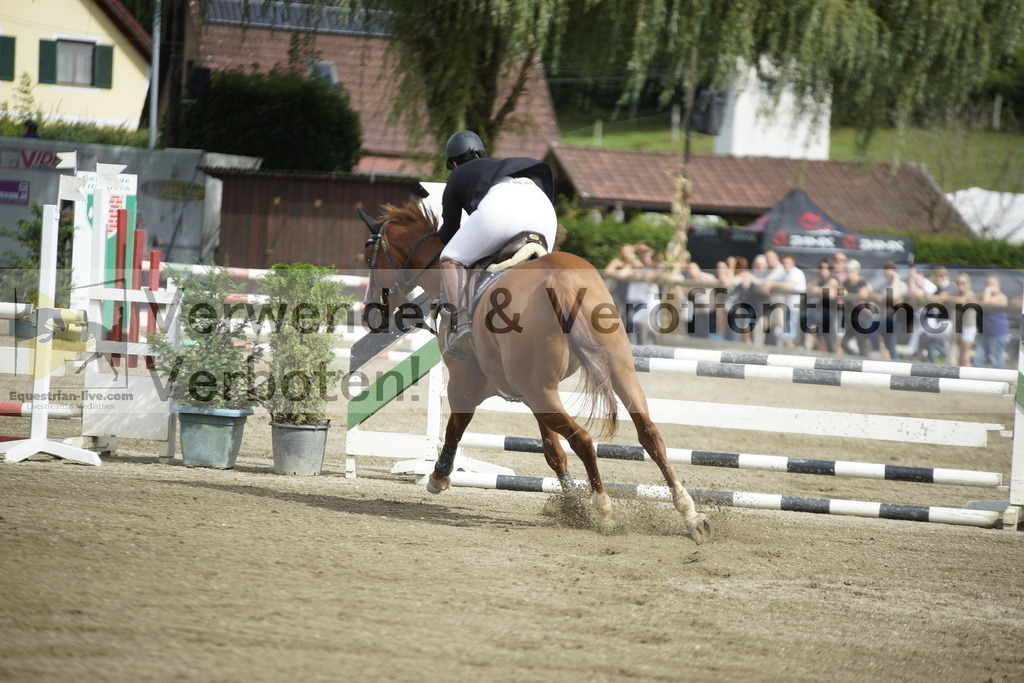 _DSC4364 | equestrian-live-com