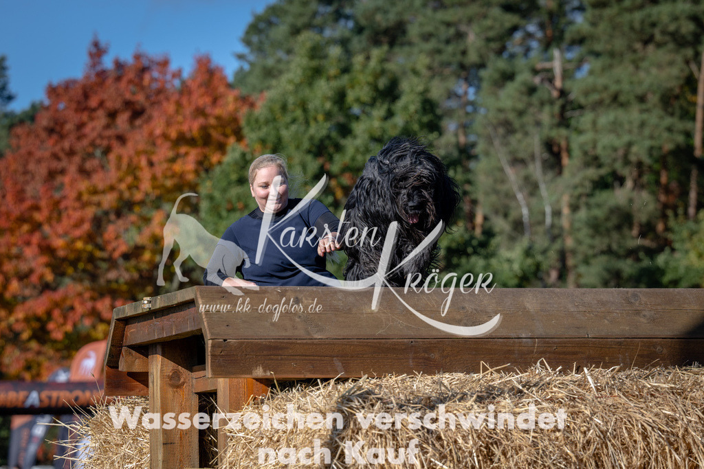 1126_ZZ90075 | kk-dogfotos