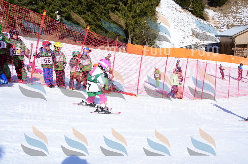 C4687 | holidayphoto