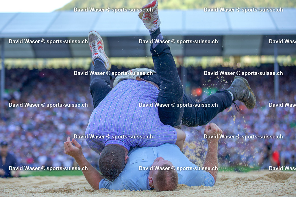 253108 Orlik Armon ___ - Reichmuth Pirmin ___ _ L_Eidg. Schwing- und Älplerfest (ESAF) Glarnerland+_ Mollis_ le 31.08.2025 _ sports-suisse.ch _ (19) | 253108 Orlik Armon *** - Reichmuth Pirmin *** à L'Eidg. Schwing- und Älplerfest (ESAF) Glarnerland+, Mollis, le 31.08.2025 " sports-suisse.ch "