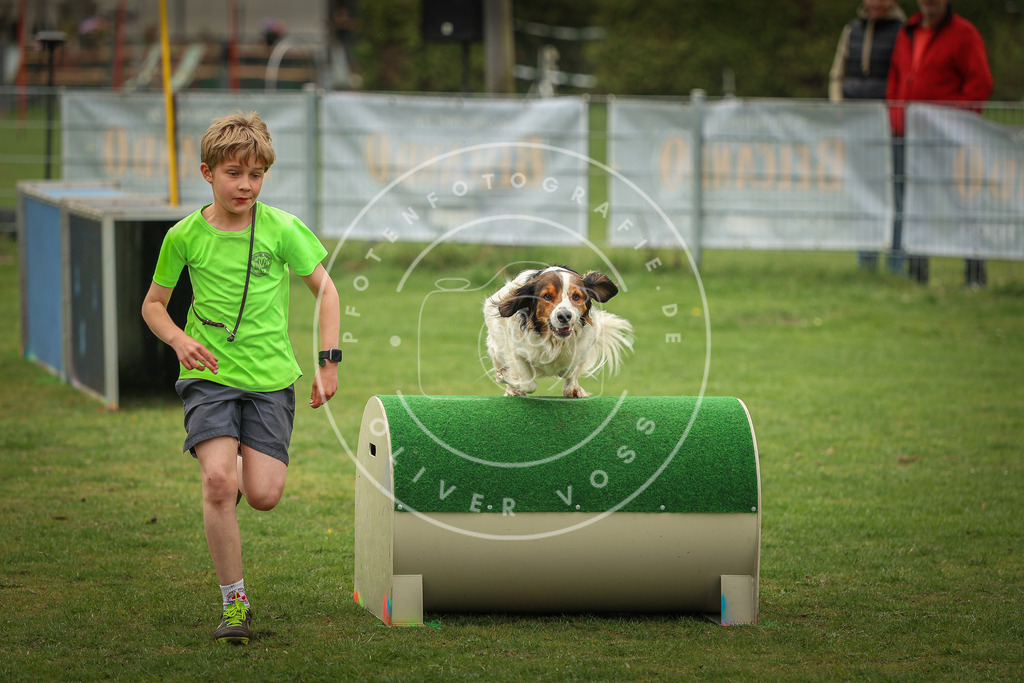 Pfotenfotografie_0L8A1732 | Hundefotografie, Tierfotograf, Pfotenfotografie, Fotoshooting Hund, Hunde Portrait, Hundesport, Hundeportraits, Heideshooting, Hunde, Sportfotograf, Hundefotograf, Turnierhundsport, THS,  - Realisiert mit Pictrs.com