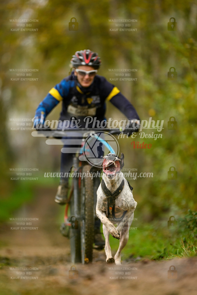 MompixPhotography_20TSB_E6_Bike-72 | PayLife
