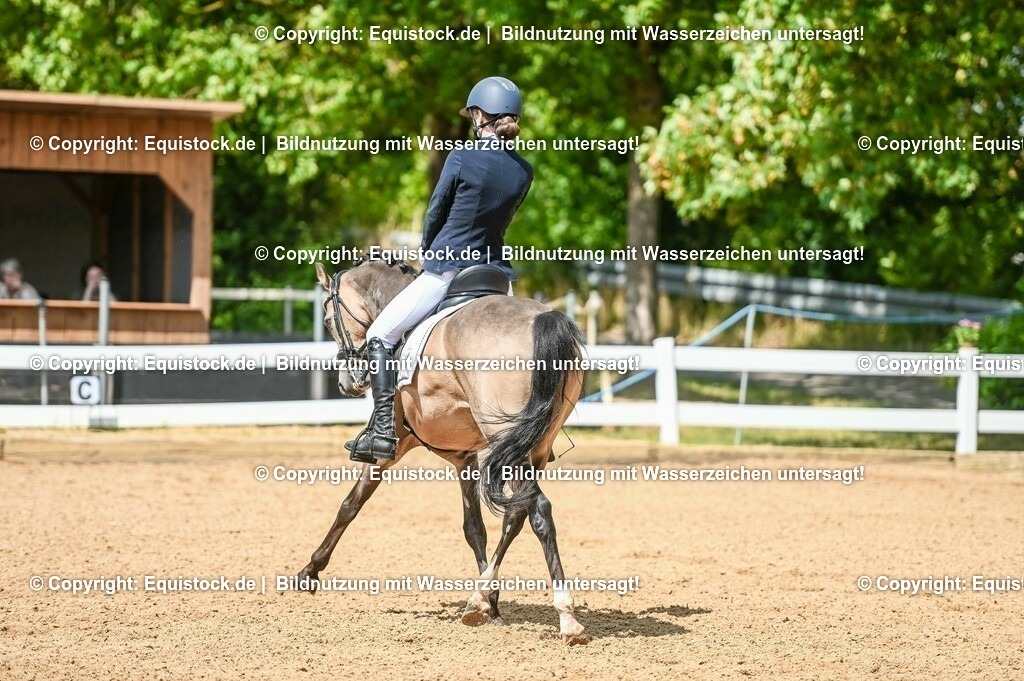 20230716_01_Dressurprüfung Kl.M_0209 | equistock