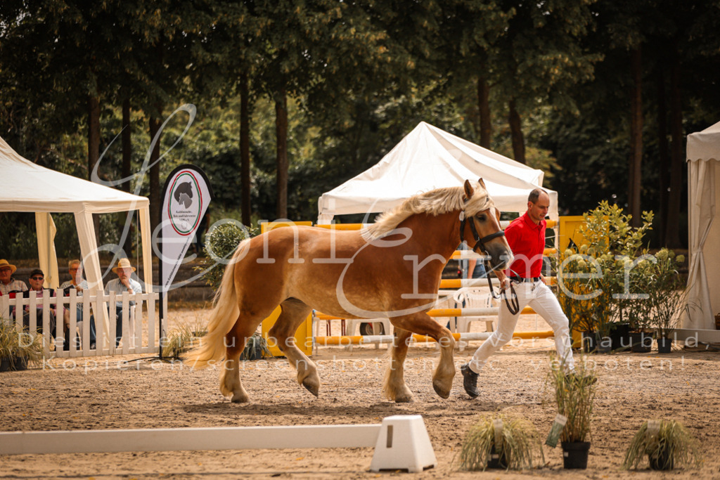 SaSieger00010 | Leoni Ertmer Photography - Realisiert mit Pictrs.com