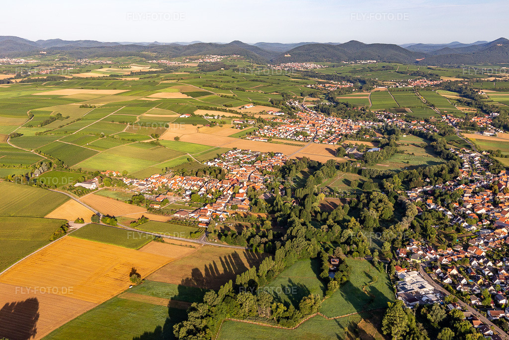 Luftbild: Ortsansicht im Ortsteil Billigheim in Billigheim-Ingenheim im Bundesland Rheinland-Pfalz in Deutschland. Foto: IMG_116655.jpg vom 11.08.2019 durch Werner Riehm/FLY-FOTO.de