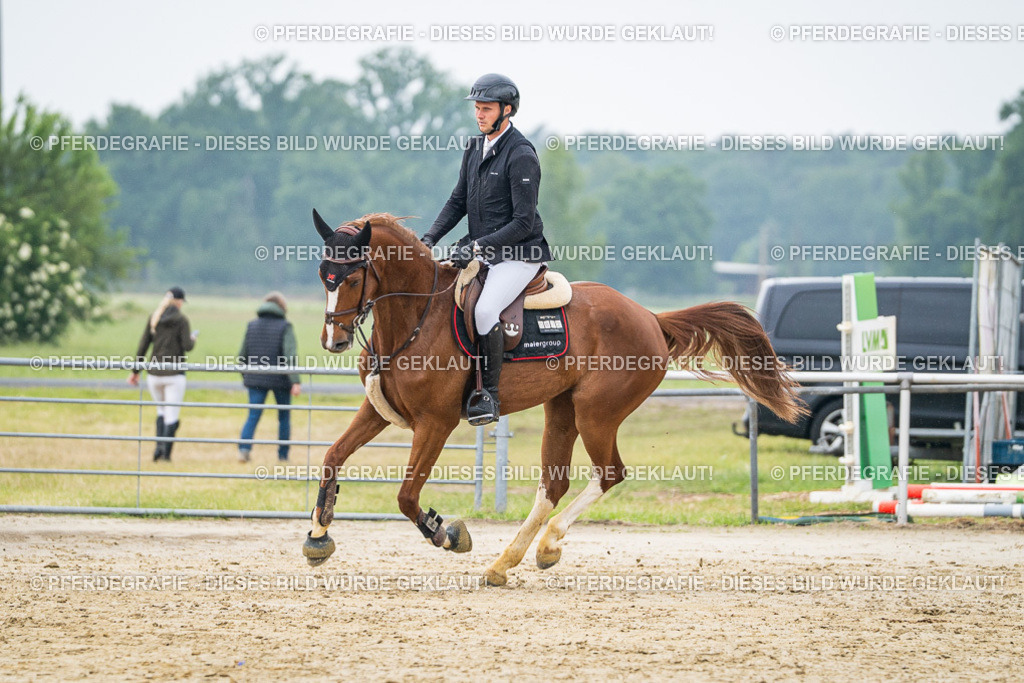 DSC00672 | Pferdegrafie