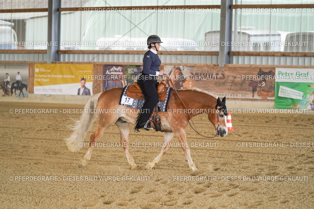 DSC09823 | Pferdegrafie