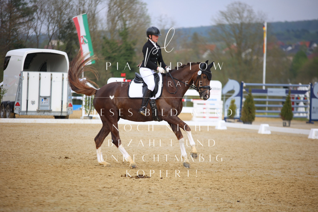 IMGT7809 | pl-fotografie