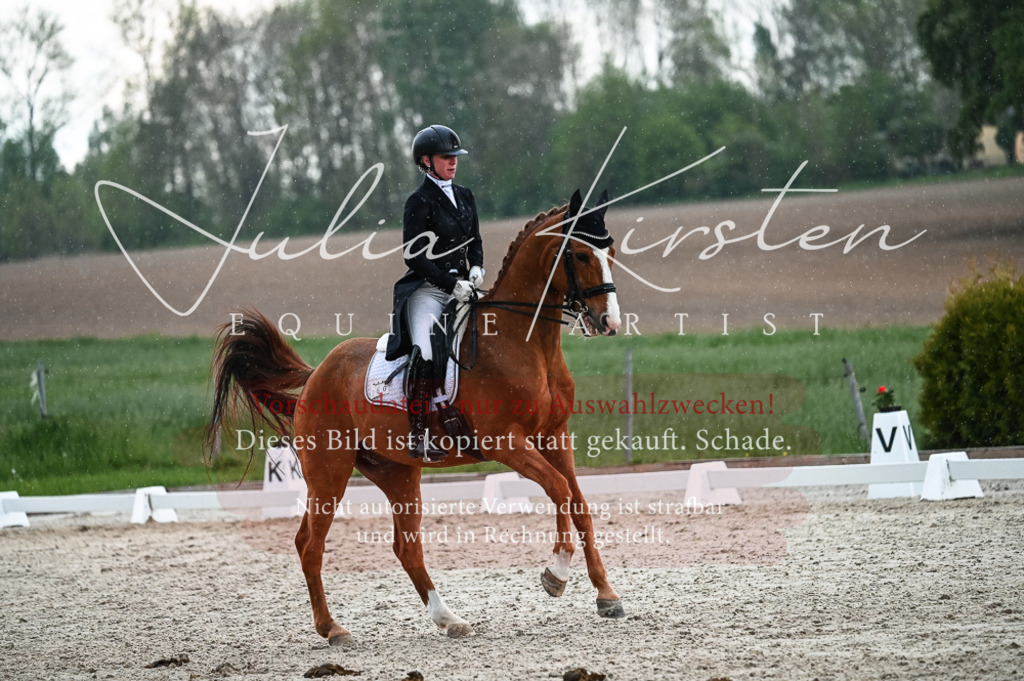 20230514_JK-Röhrsdorf-21-683 | Pferde- und Turnierfotografie in Westsachsen. Pferdeportraits, Auftragszeichnungen und intuitive Kunst.