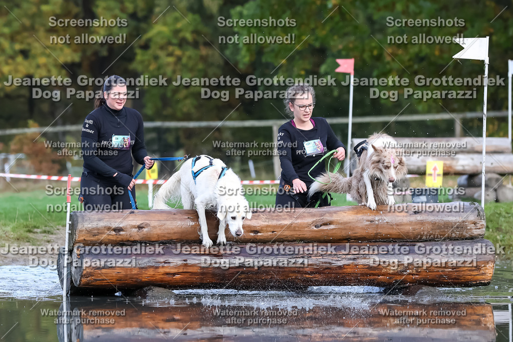 Dog Paparazzi - Strongdog 10-25-6896 | Dog Paparazzi Jeanette Grottendiek Fotografie & Videografie - Realisiert mit Pictrs.com