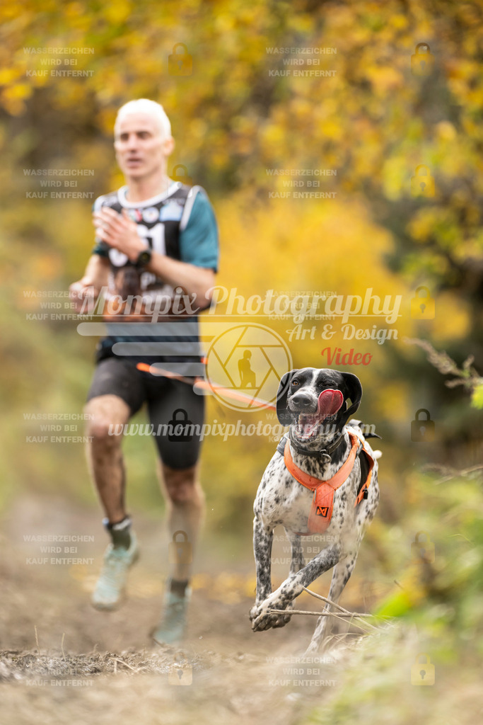 MompixPhotography_ICF_WC_2024_SA_Run_-282 | PayLife