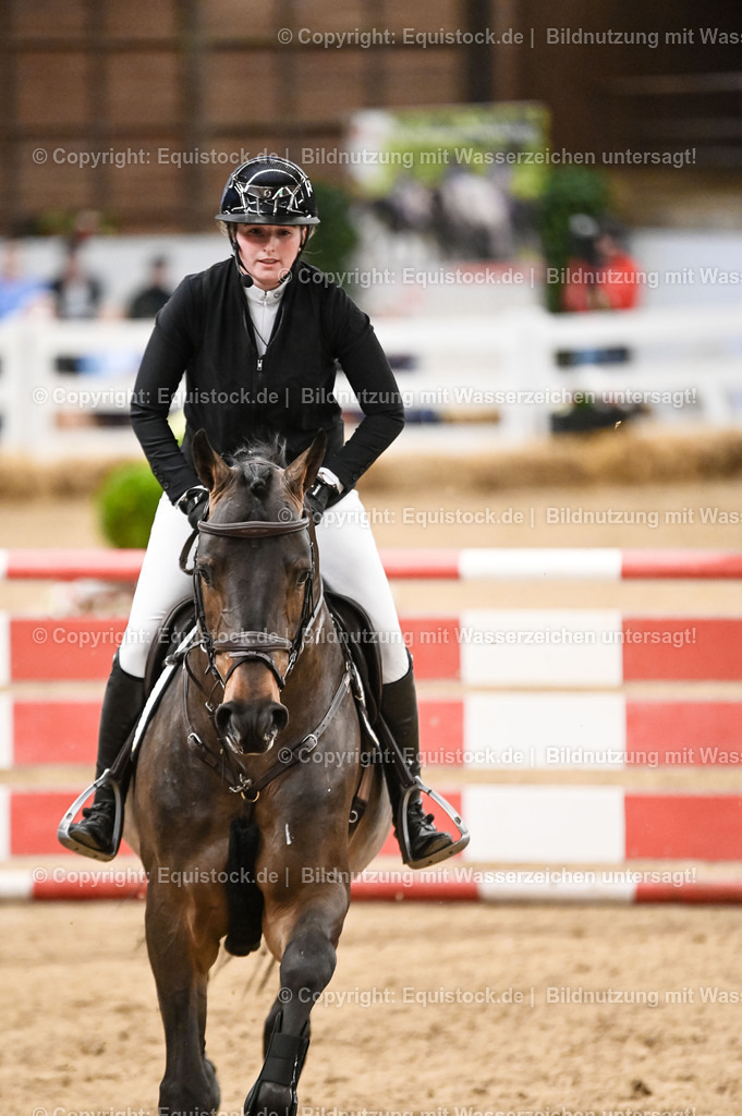 20260307_Hengstvorstellung-Marbach_0134 | equistock