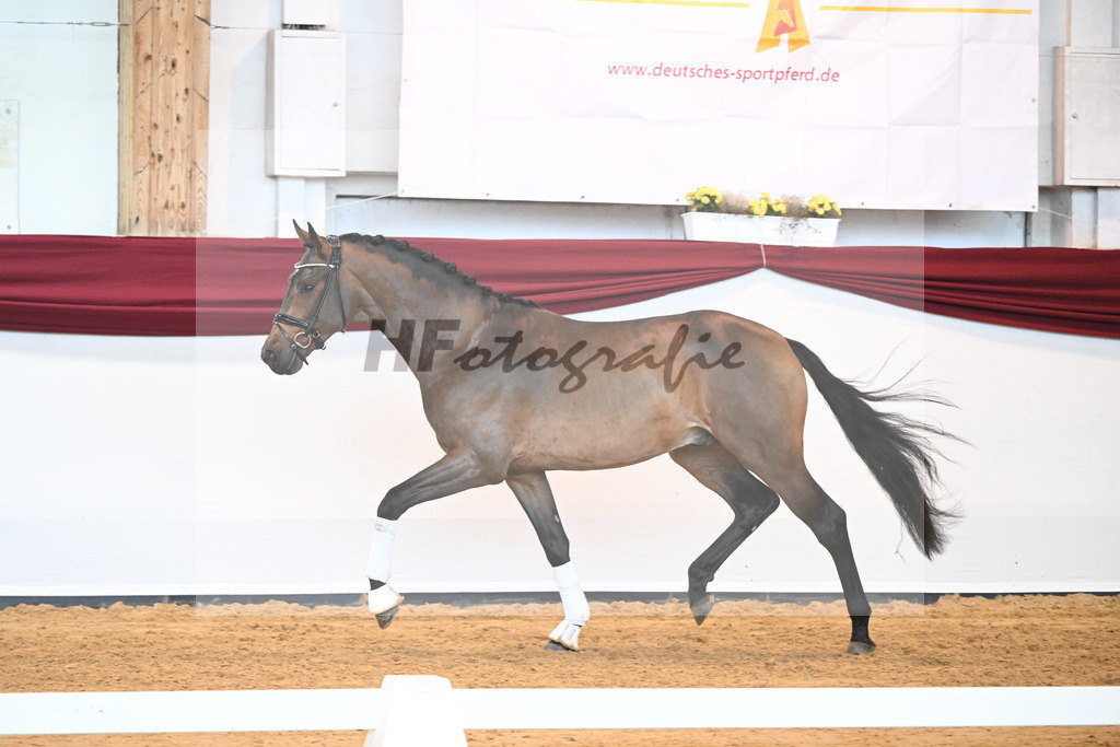 Kat-Nr. 39 v. Jovian_Dahlhoff_66221020 | hf-fotografie - Realizzato con Pictrs.com