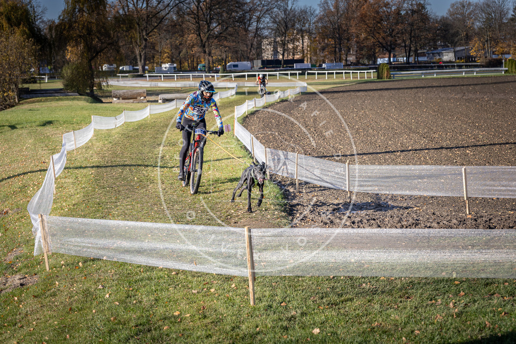 CaniXpix_DV3A3583 | Hundefotografie, Tierfotograf, Pfotenfotografie, Fotoshooting Hund, Hunde Portrait, Hundesport, Hundeportraits, Heideshooting, Hunde, Sportfotograf, Hundefotograf, Turnierhundsport, THS,  - Realisiert mit Pictrs.com