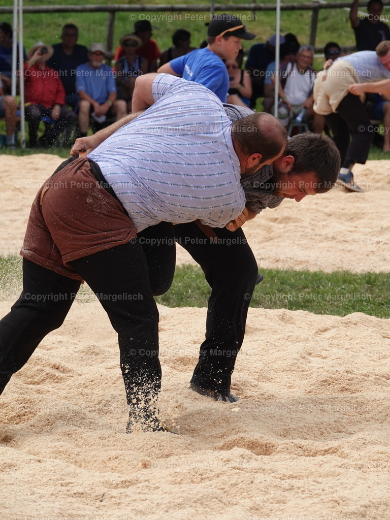 DSC05118 | Schwingen - Realisiert mit Pictrs.com