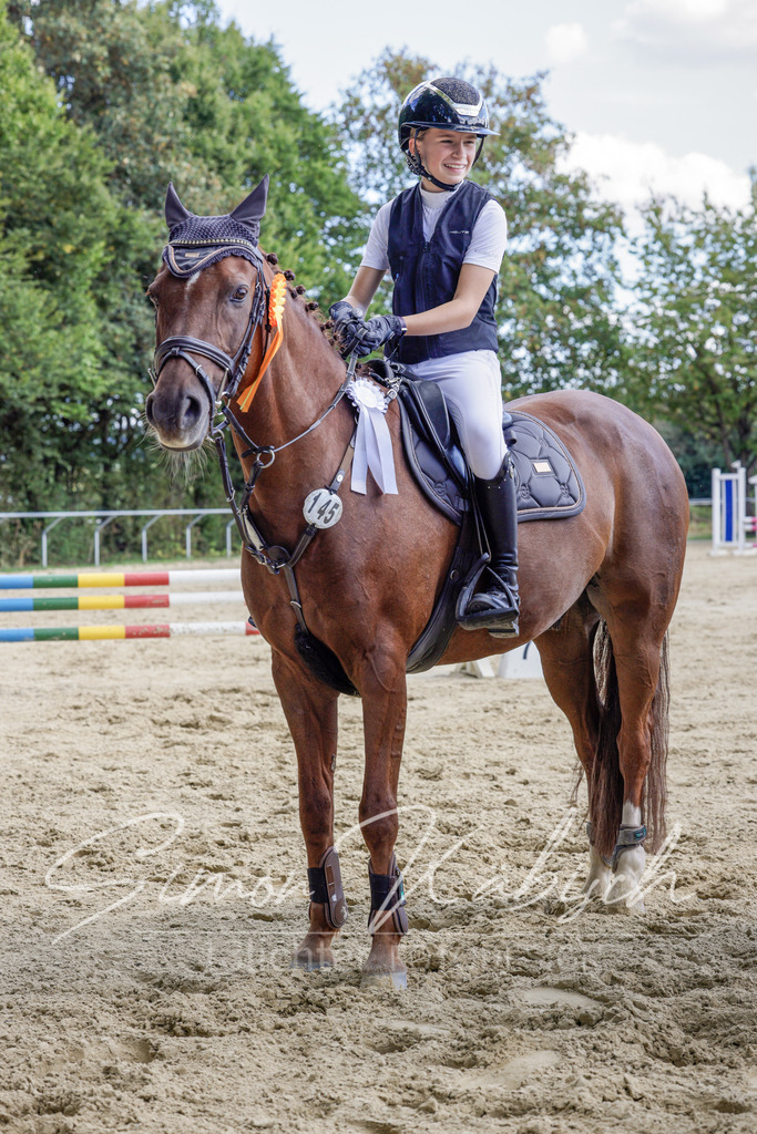 20250906-_3LI6563 | Tierfotografie Pferde, Hunde, Katzen, Haustiere.
Turnierfotografie Reitturniere, Reiten, Springreiten, Dressur in Hanau, dem Main-Kinzig-Kreis und dem Rhein-Main- Gebiet um Frankfurt