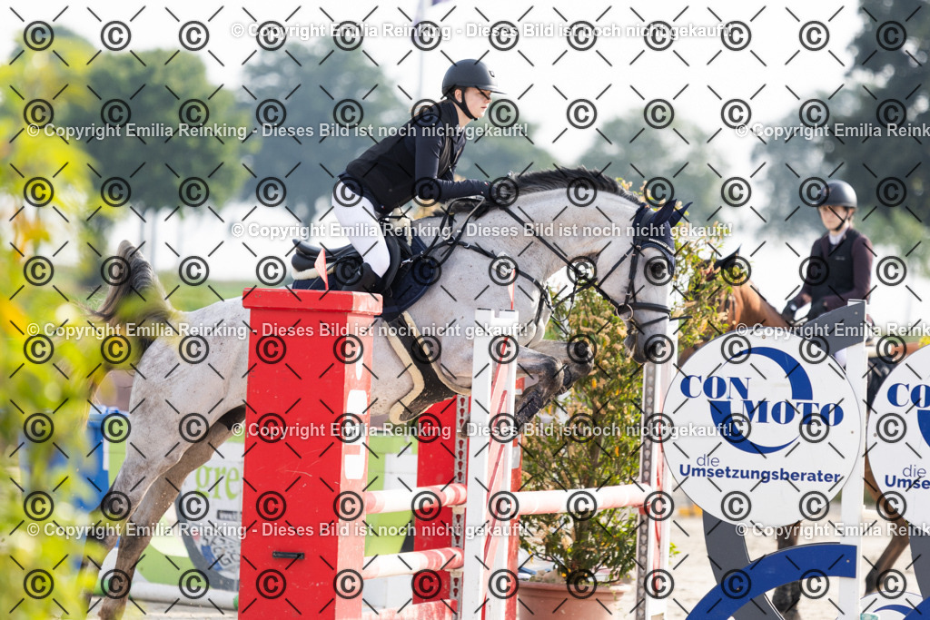 CL5A1616 | Emilia Reinking Fotografie - Realisiert mit Pictrs.com