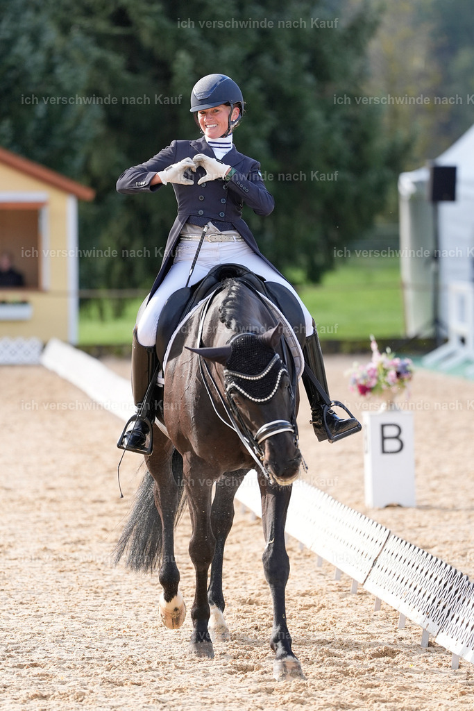 09_1-115-DRESSUR  S_  -StoibPH-5612 | working equitationturnier fotograf videograf stoibphotography marixx film working equitation deutschland reitsport turnierfotografie eventfotografie equestrian events